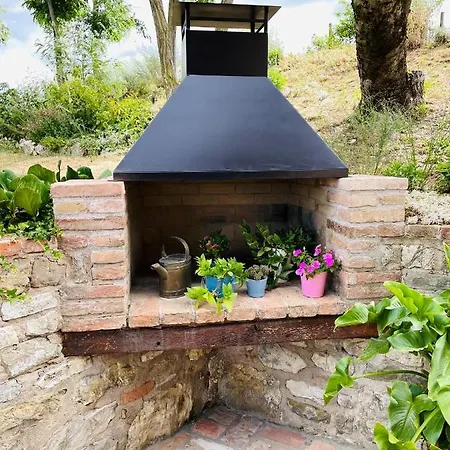 Podere Prasiano *
