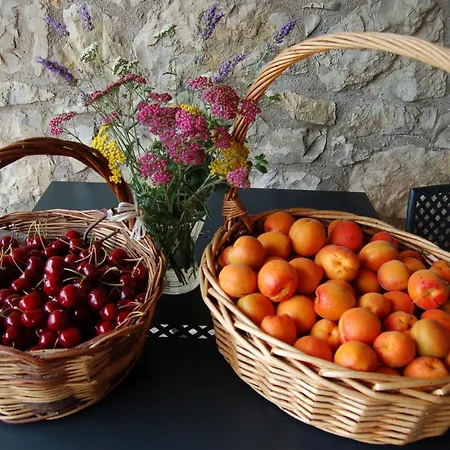 Podere Prasiano Marano sul Panaro