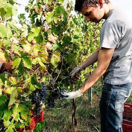 Podere Prasiano Κατάλυμα σε φάρμα *