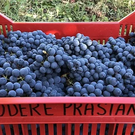 Podere Prasiano * Marano sul Panaro