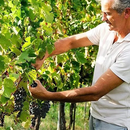 Podere Prasiano