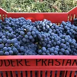 Podere Prasiano * Marano sul Panaro