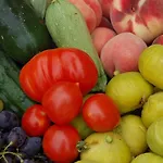 Podere Prasiano Marano sul Panaro