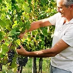 Podere Prasiano