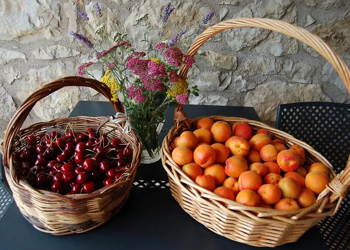 Podere Prasiano Marano sul Panaro