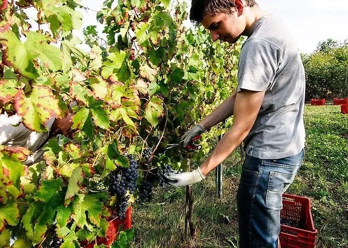 Podere Prasiano Farmház *