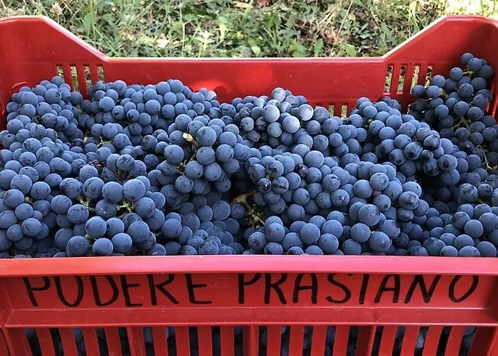 Podere Prasiano * Marano sul Panaro